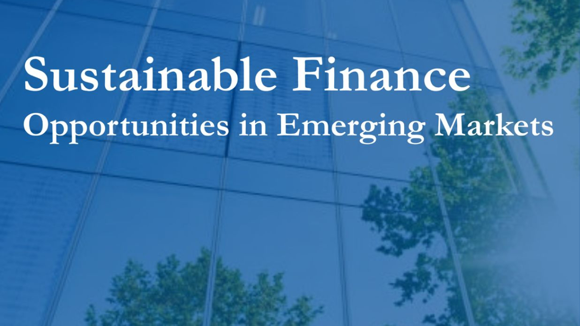 Financing Sustainability Outcomes: A Road Map for Sustainable Finance in Africa’s Emerging Markets